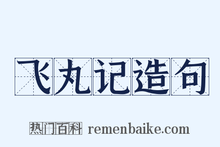 飞丸记造句是什么意思的图片